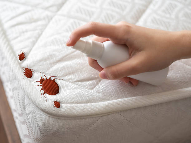 Best Pest Removal Services  in West Branch, IA