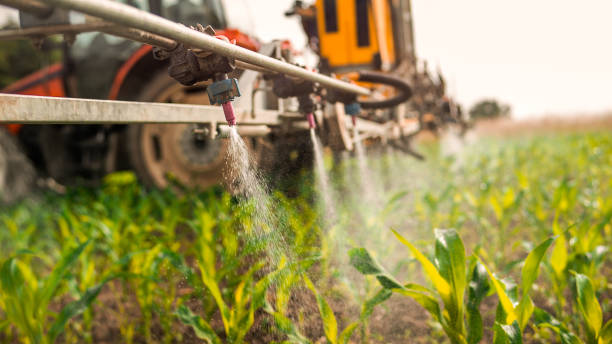 Best Pest Control Near Me  in West Branch, IA